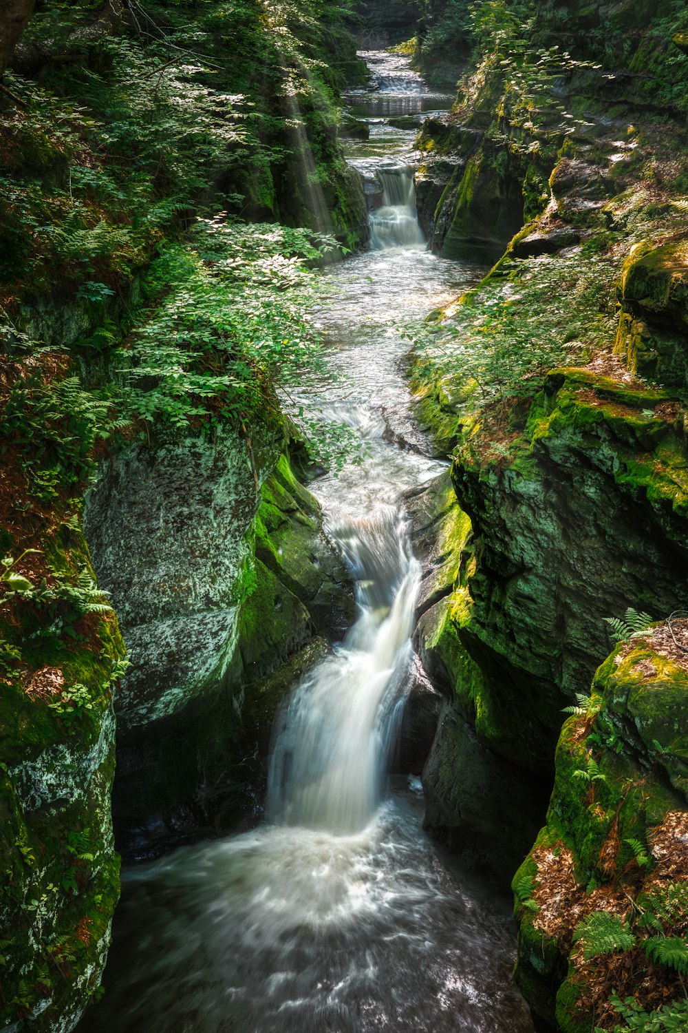 waterfalls during daytime