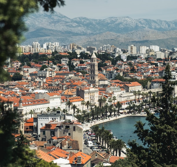 trees and buildings near body of water