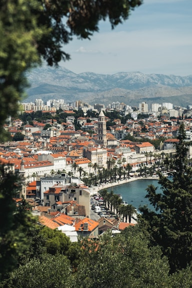 trees and buildings near body of water