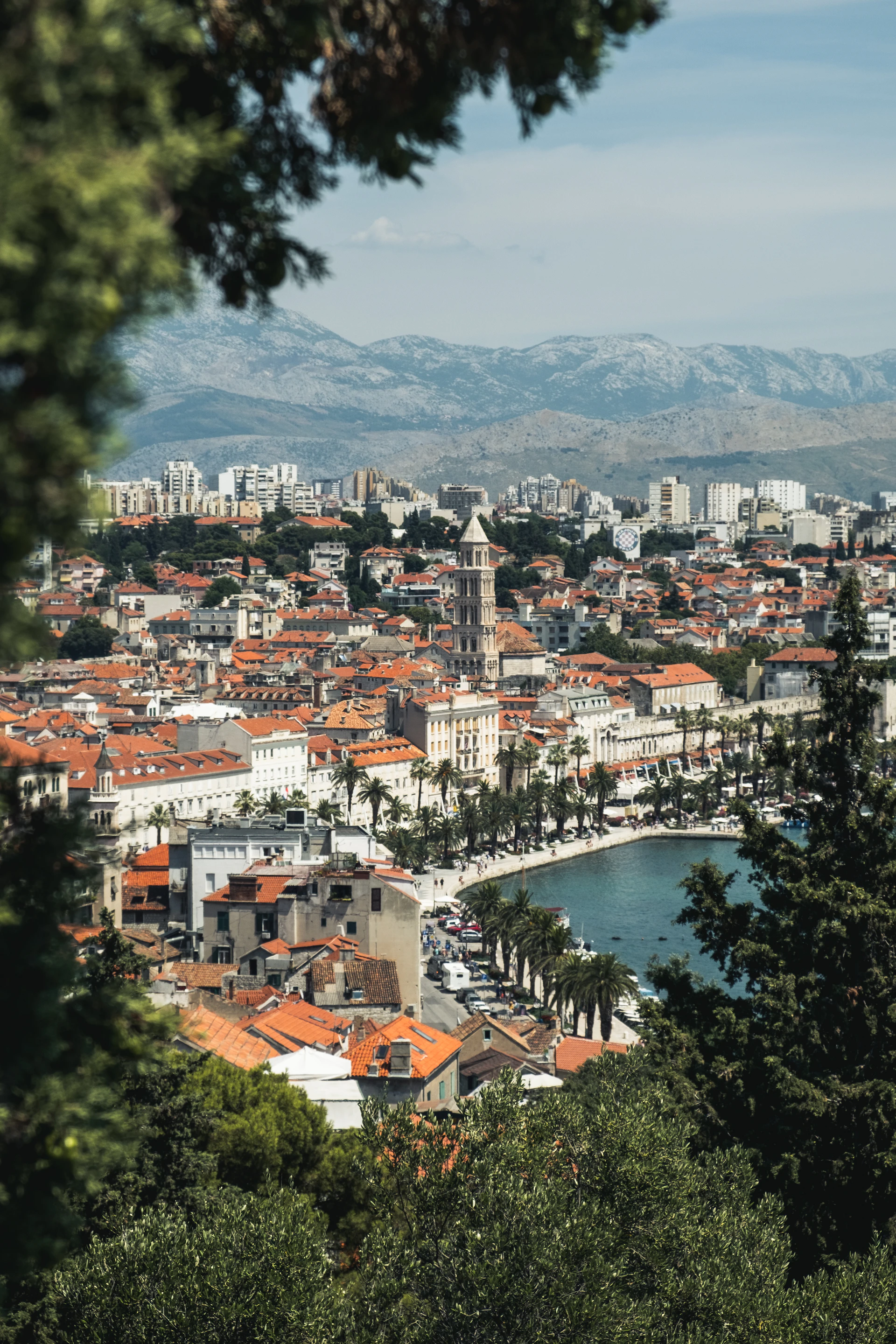 Split’s waterfront with palm trees, city buildings and the Adriatic Sea