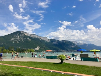 group of people on seashore during daytime