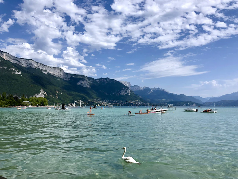 Best Co-Living Spaces for Digital Nomads in Annecy