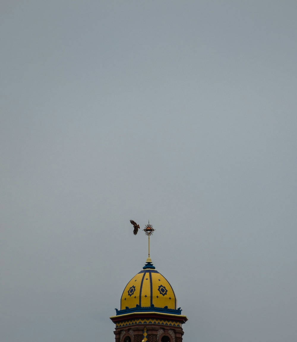 bird flying near building