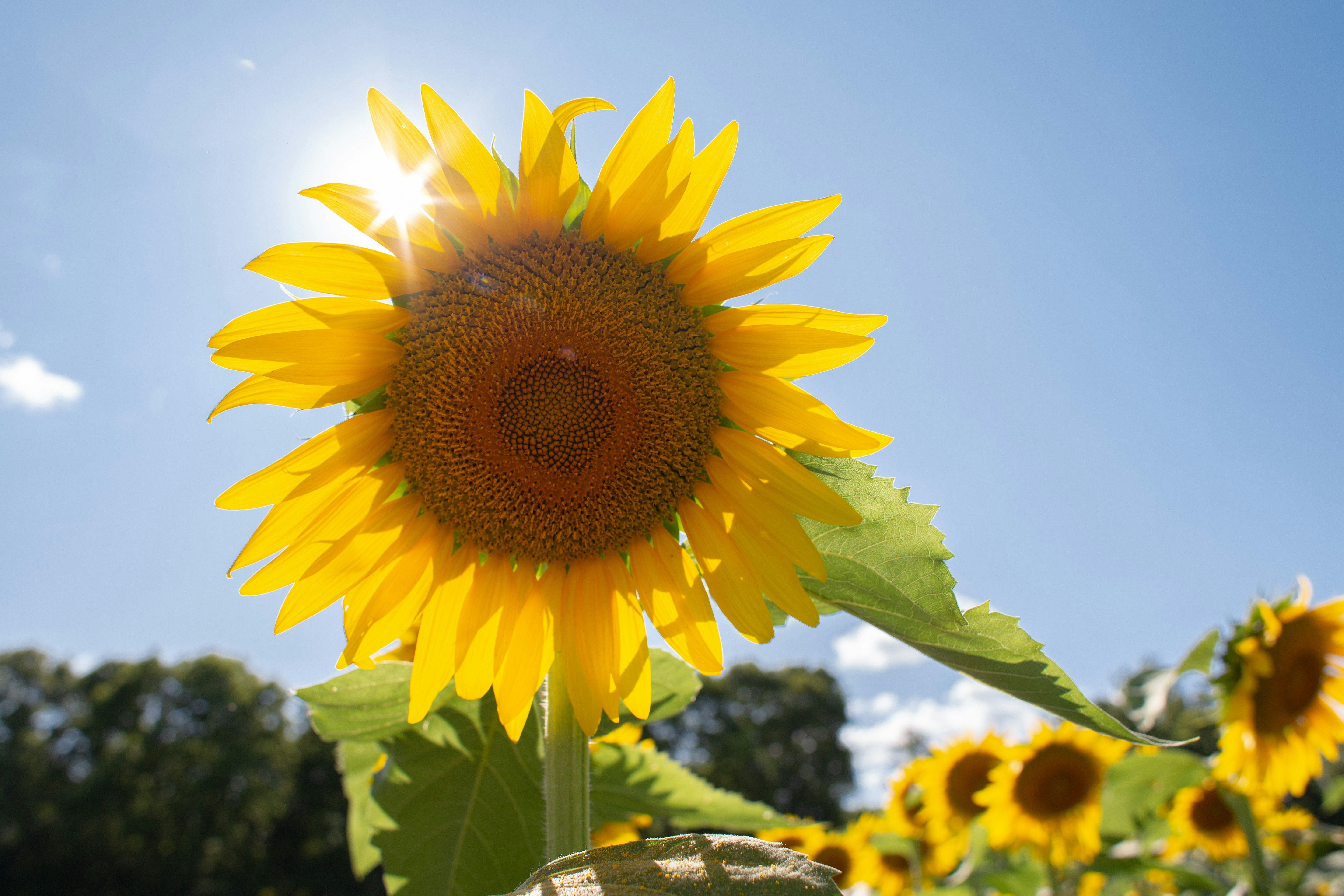 Photo by courtneymcook