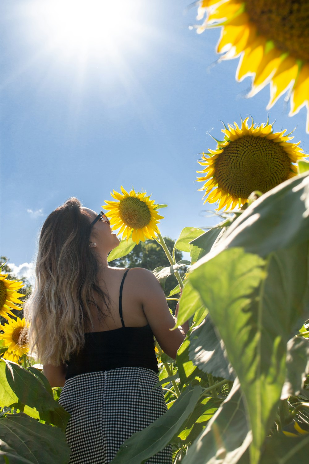 woman wearing black top standing on sunflower field