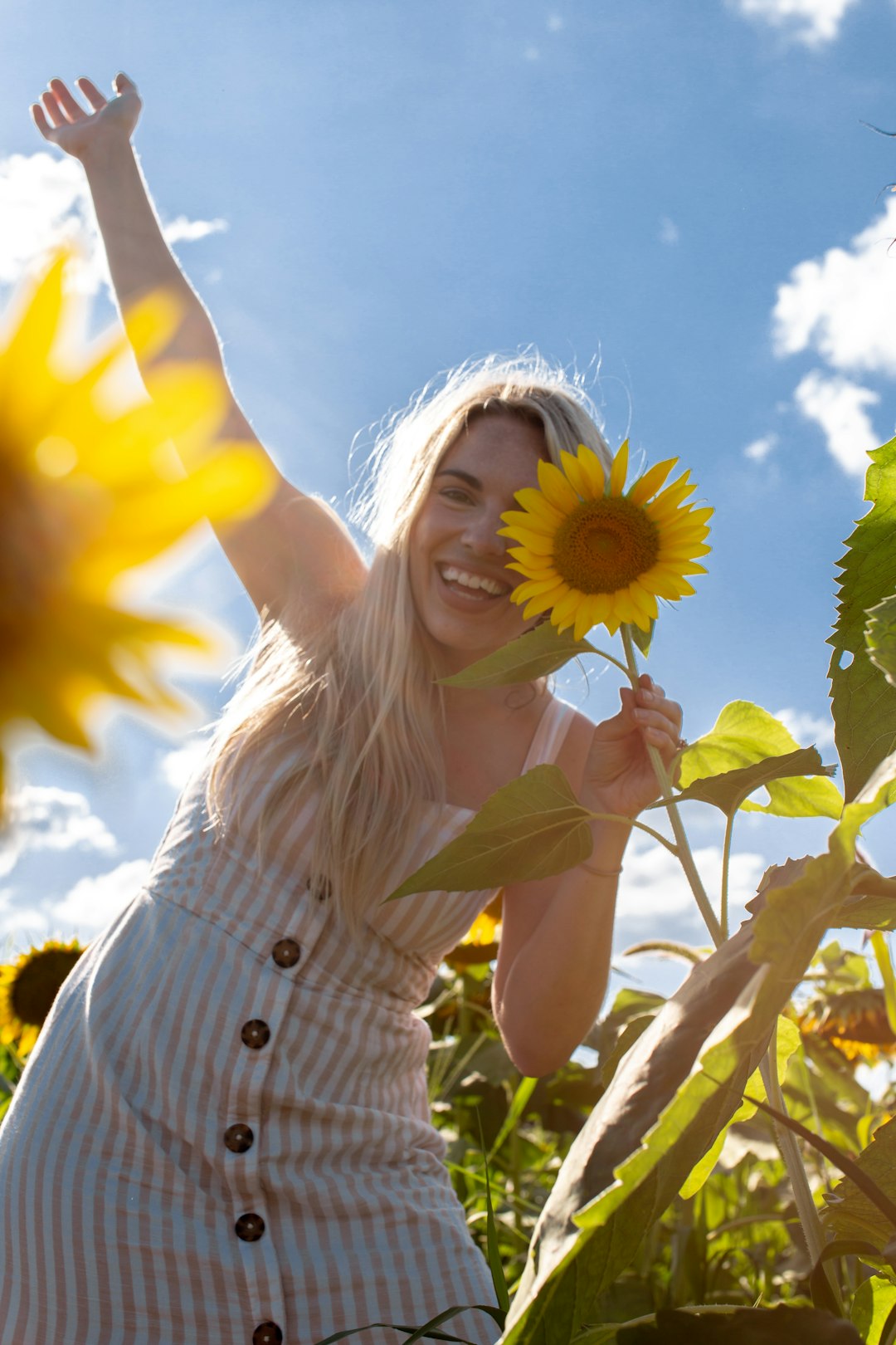 woman holding sunflower