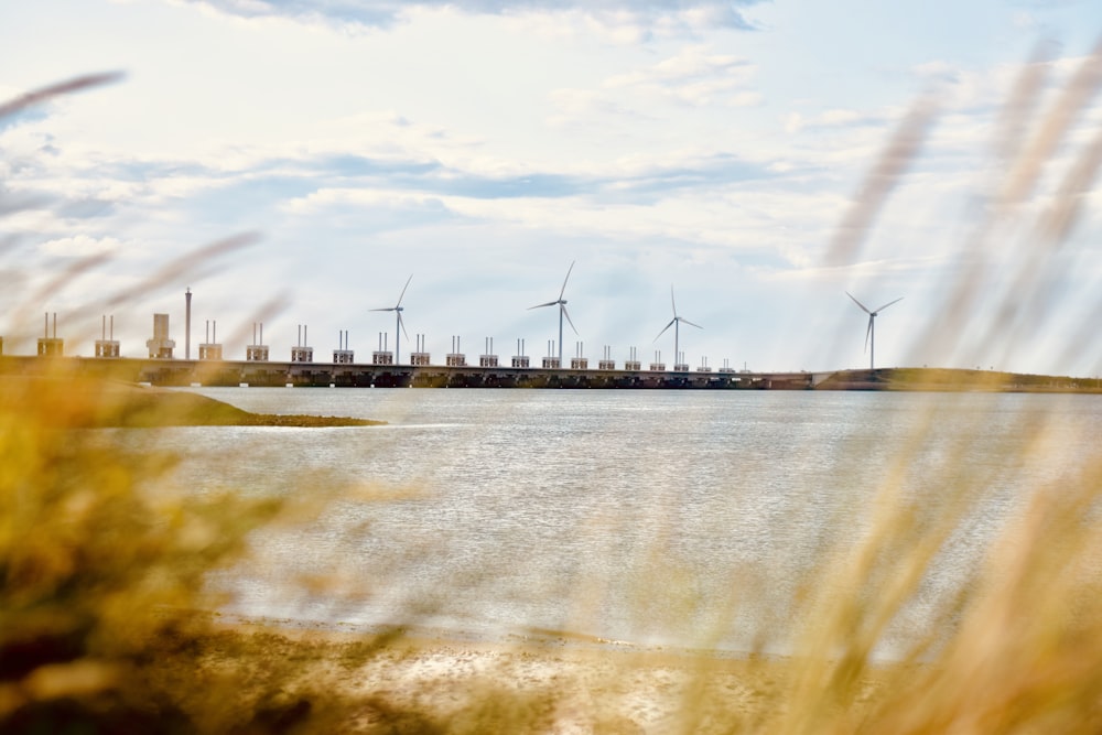 moinhos de vento perto do mar durante o dia