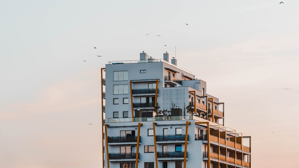 white and brown concrete building