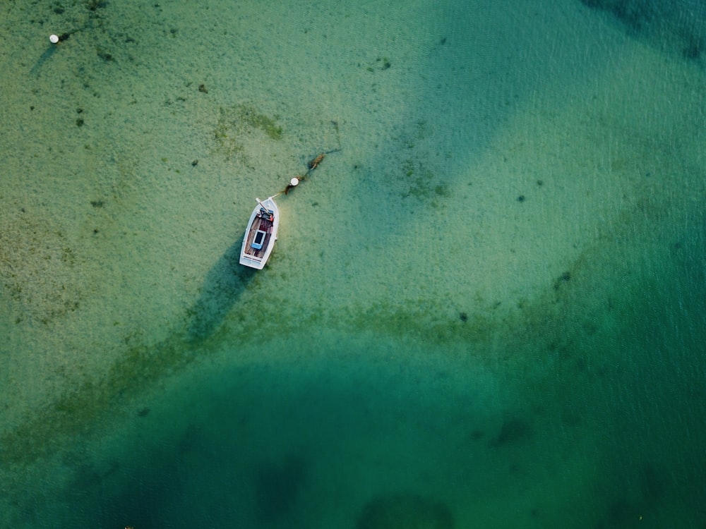 white canoe on water