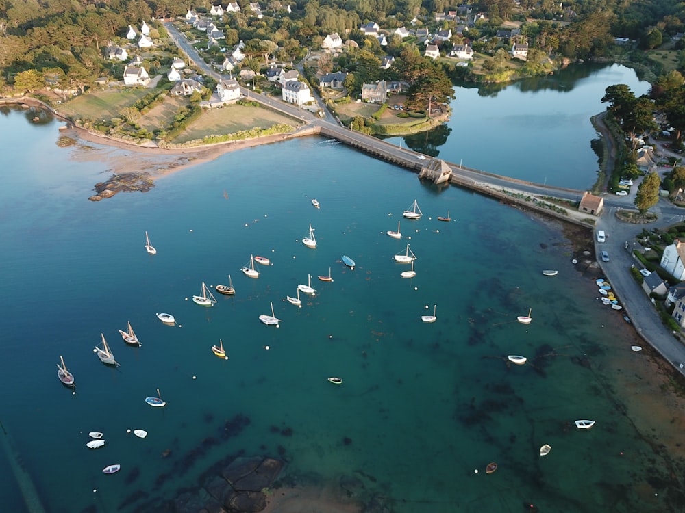 bird's eye view of sailboats