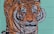 A detailed mural of a tiger's face with an orange and black striped pattern, set against a teal background.