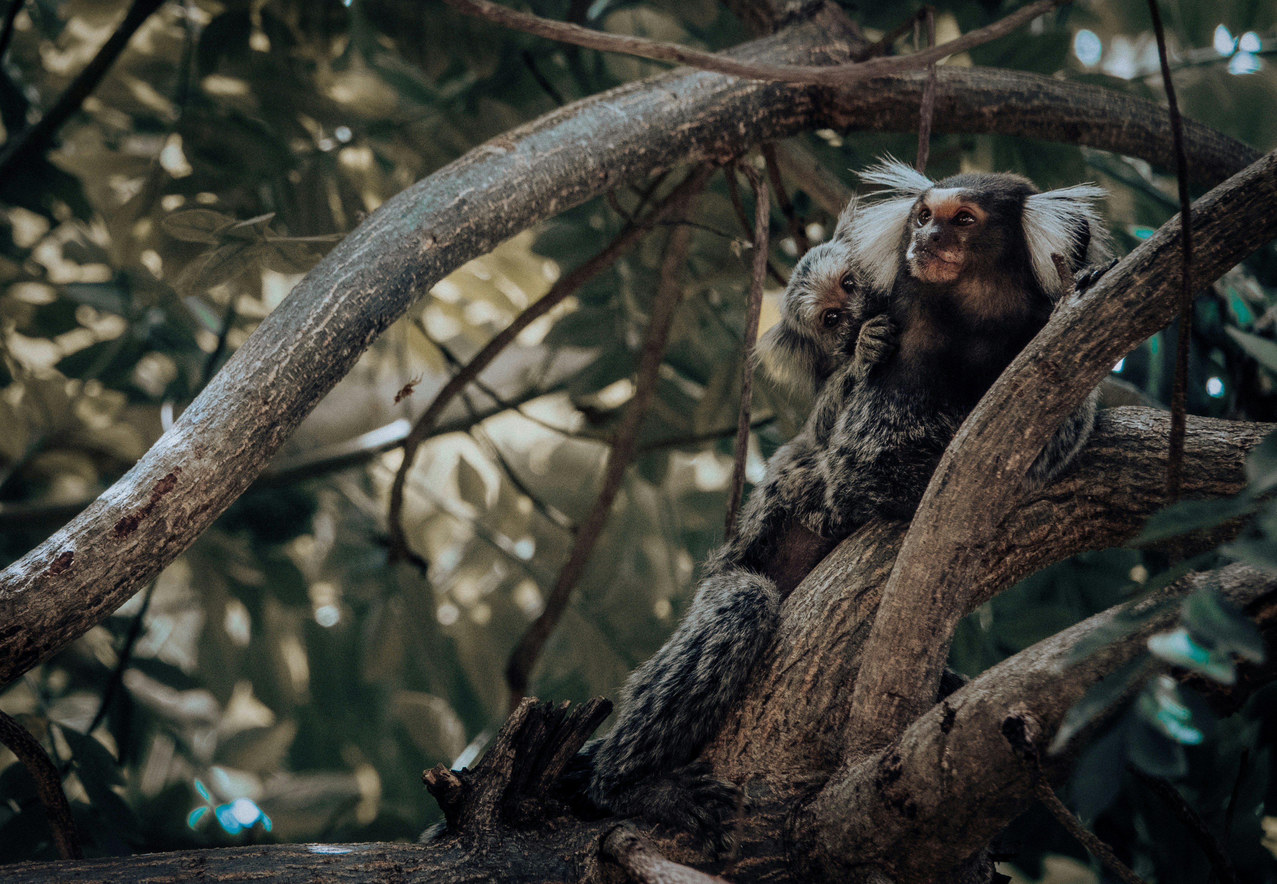 Photo by rodolfoallen