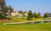 A residential area with houses lined up next to a lush green golf course. The scene includes a small water body reflecting the clear blue sky. Several tall trees, including some palm trees, are scattered around the area.