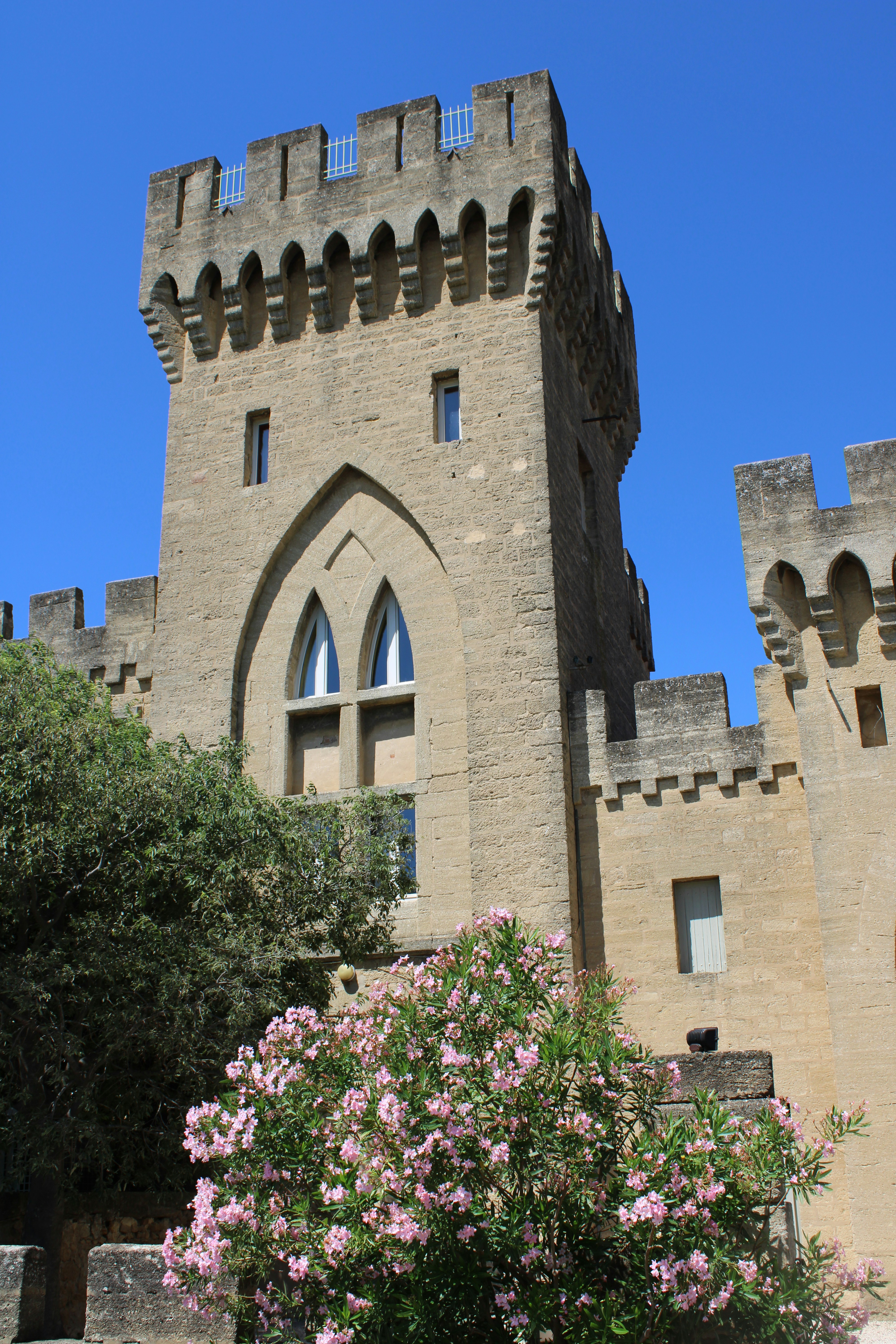 Photo by lottiegriffiths