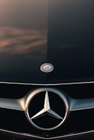 close view of Mercedes-Benz hood