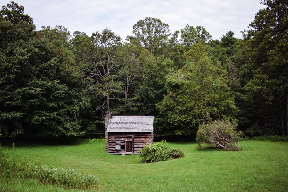 brown house near tree