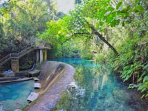 A serene, turquoise-blue river winds through a lush, green jungle setting. On the left, there is a concrete structure with a staircase leading up to a small viewing platform. Tall trees with dense foliage surround the area, and a large overhanging branch extends across the river, casting reflections on the water.