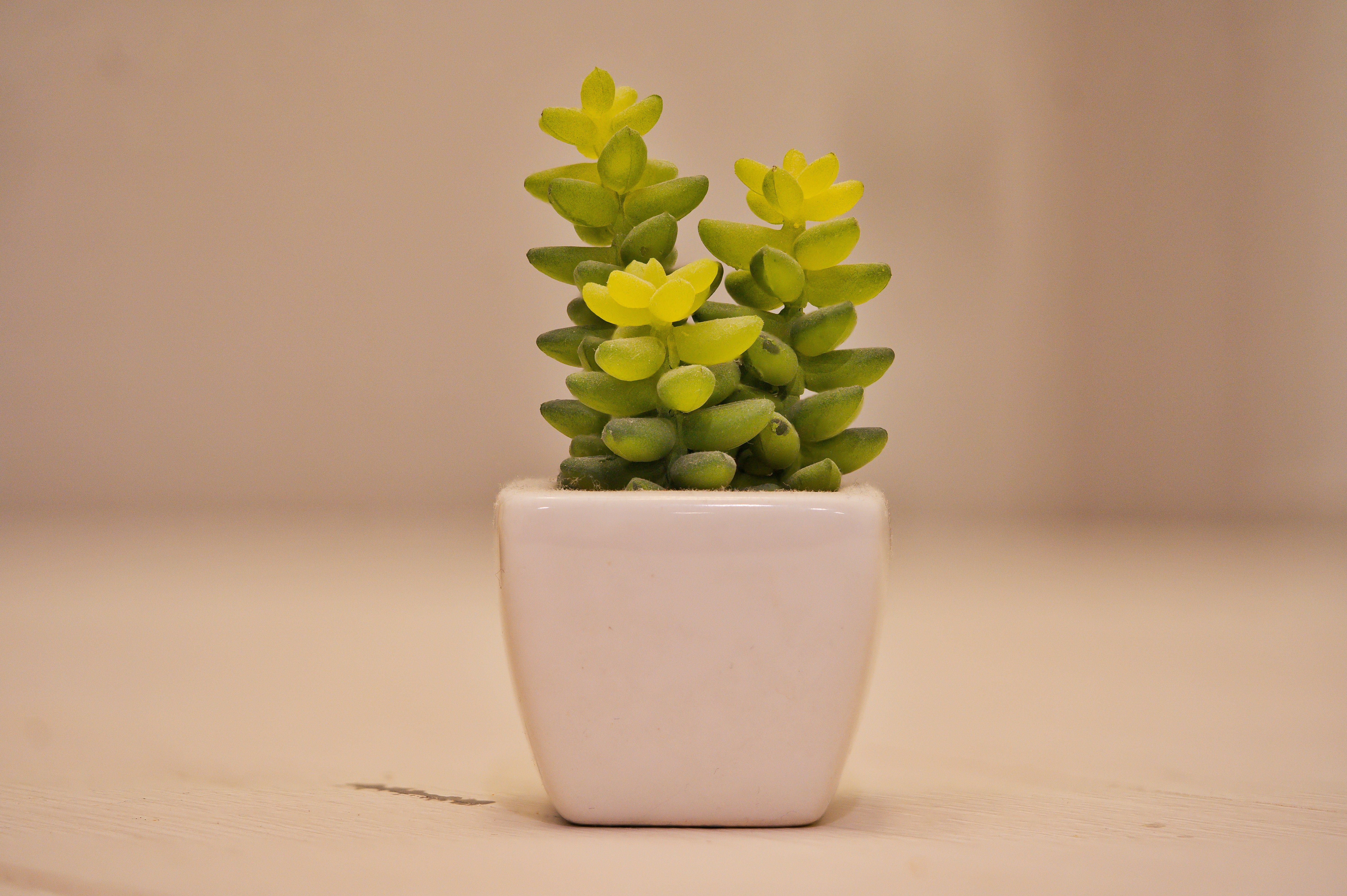 Sleek Minimalist Plant Pot