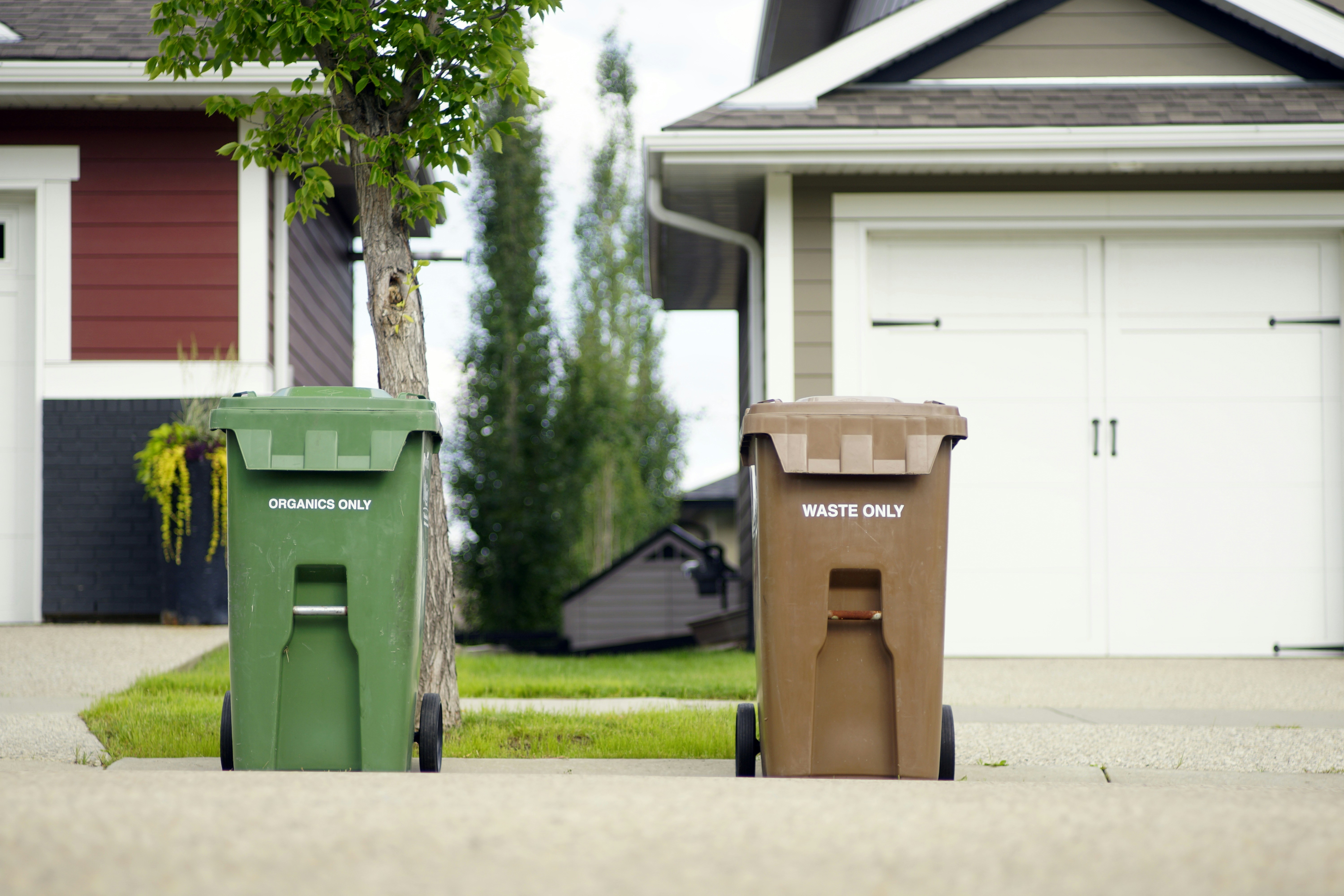 two green and brown trashbin