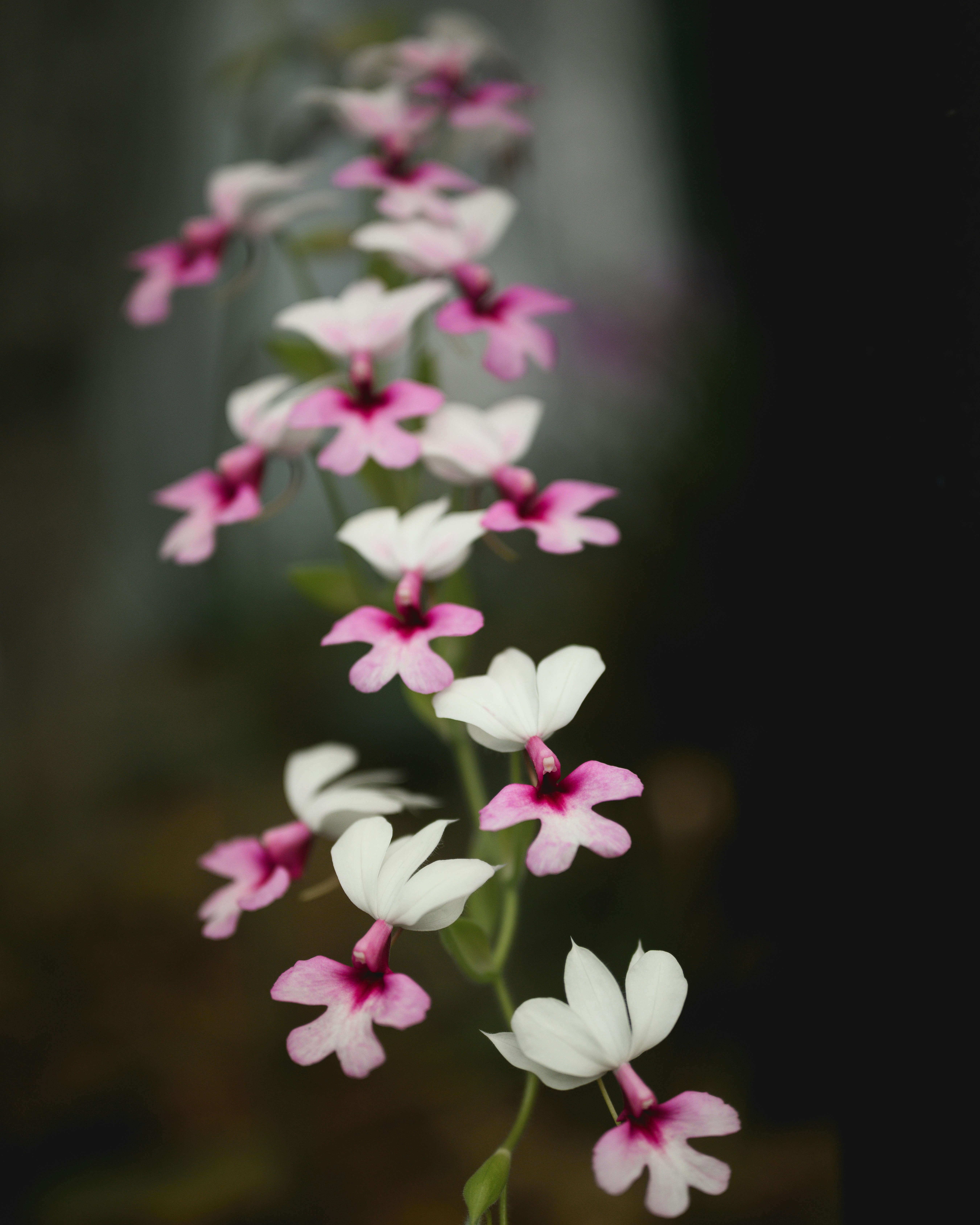 Photo by lilyfrancesca