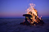 A beach bonfire glowing warmly as evening falls.
