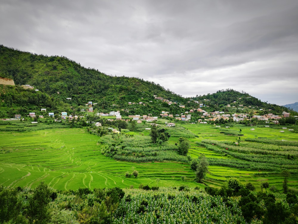 aerial photography of houses near green field viewing mountain under white and gray sky during daytime