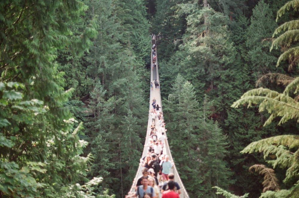 people in a bridge near trees during daytime