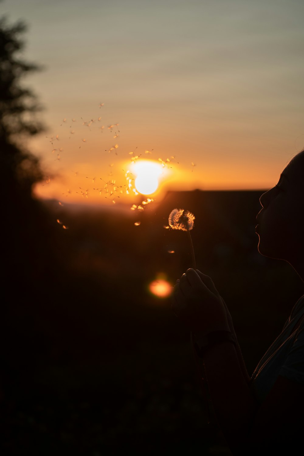 person blowing white dandelion flower