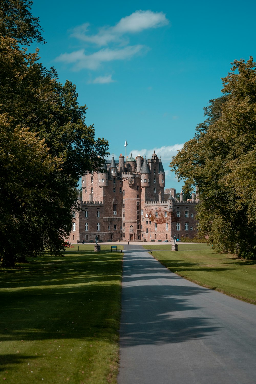 road between trees near gray castle during daytime