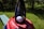 A golf ball is placed on top of a red container with a black, curved handle extending upwards. In the background, there is a grassy area and some trees, indicating an outdoor setting. The golf ball has branding on it, and the sun casts shadows on the scene.