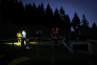 Volunteers scanning a dense forest with flashlights at dusk.