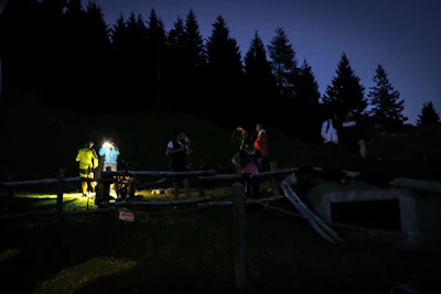 Volunteers scanning a dense forest with flashlights at dusk.