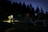 A group of people is gathered outdoors at dusk or nighttime, some holding flashlights. They stand on a grassy area near a wooden fence, surrounded by tall coniferous trees.