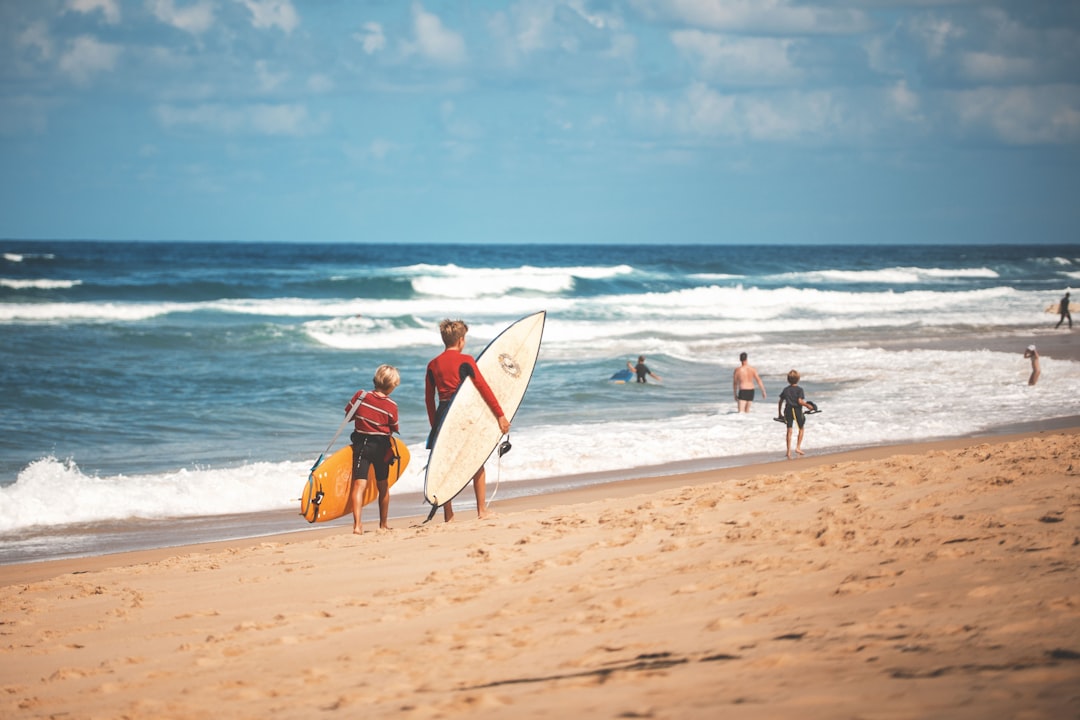 people on seashore