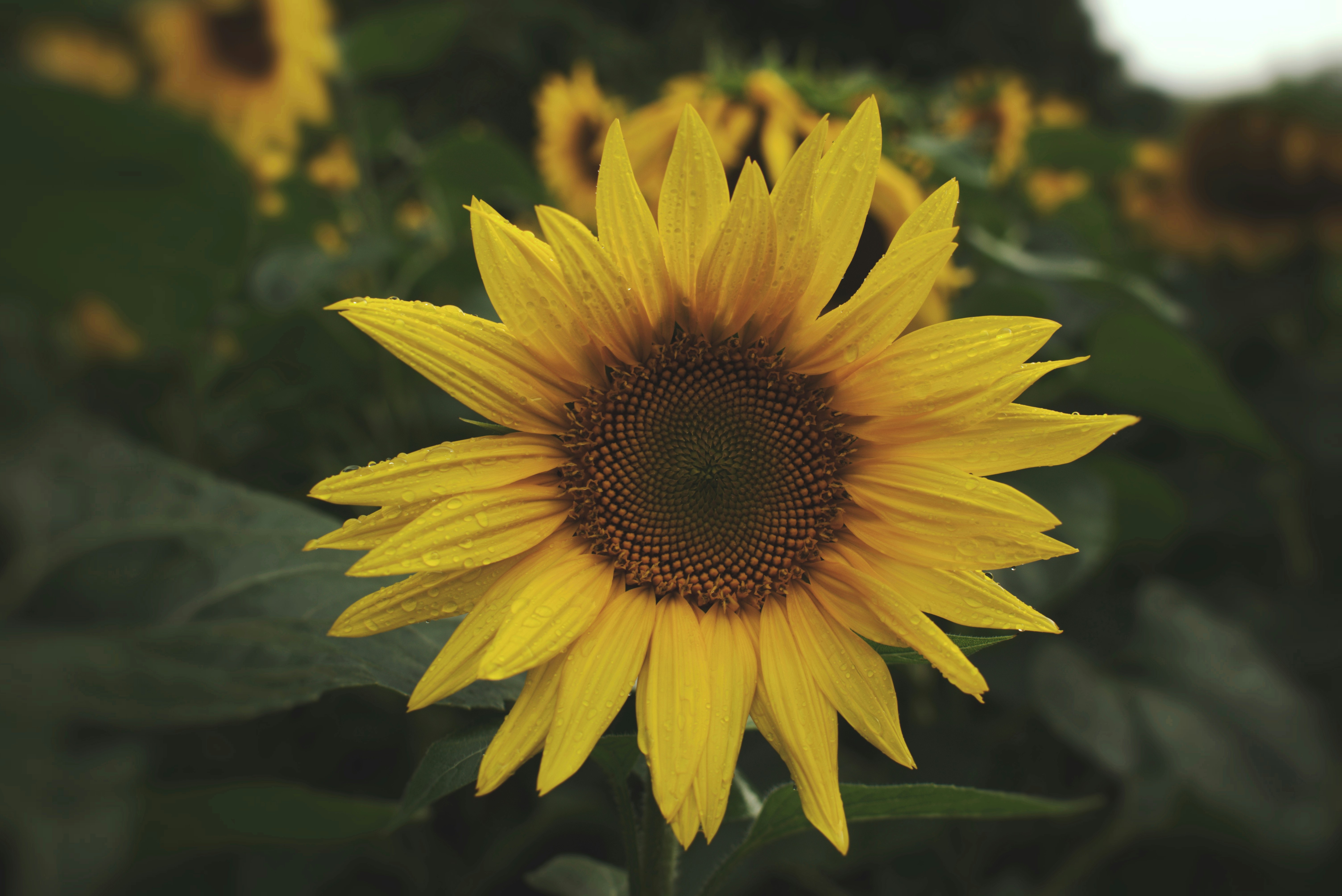 Photo by margagreta_96