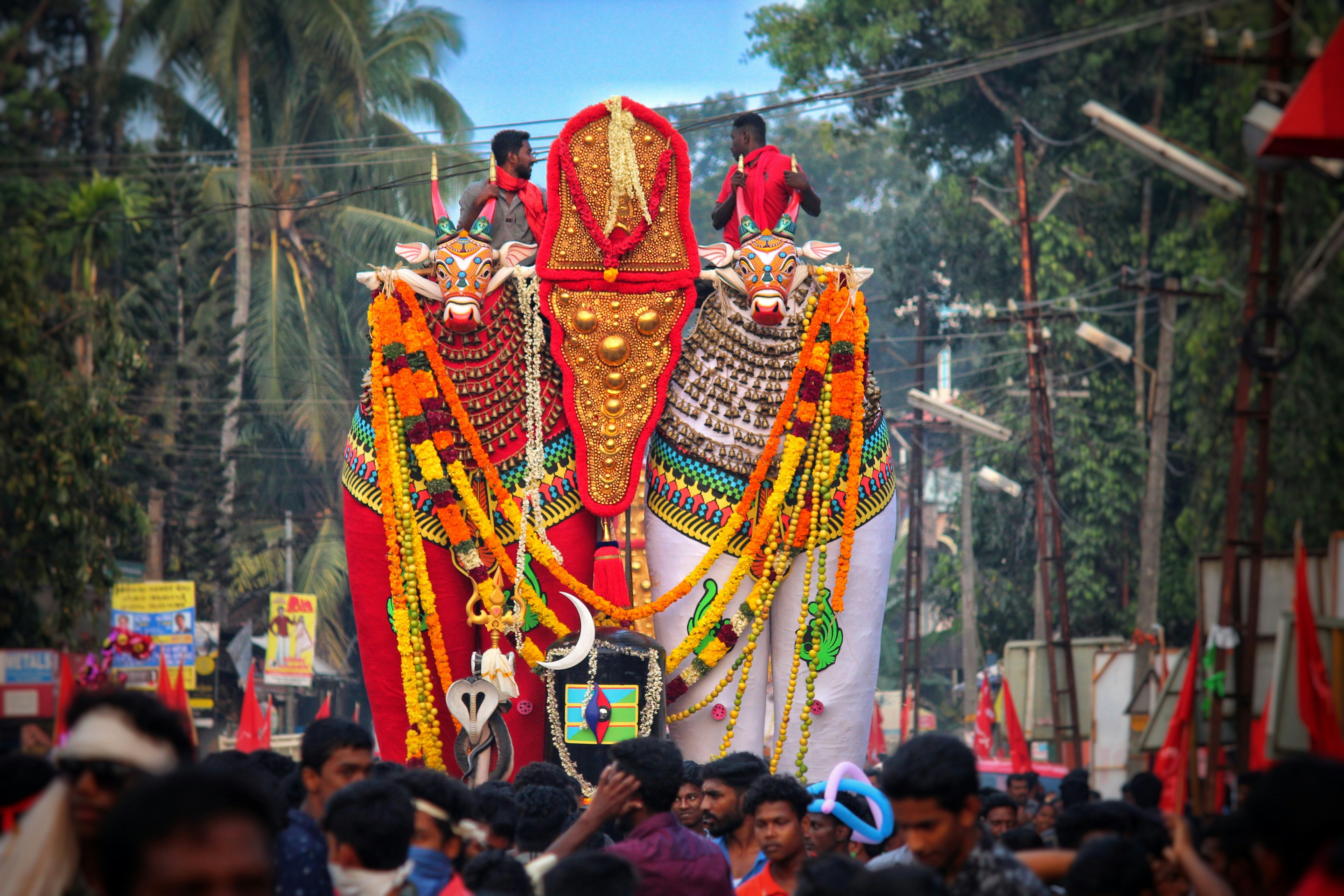 Photo by sudhisuresh
