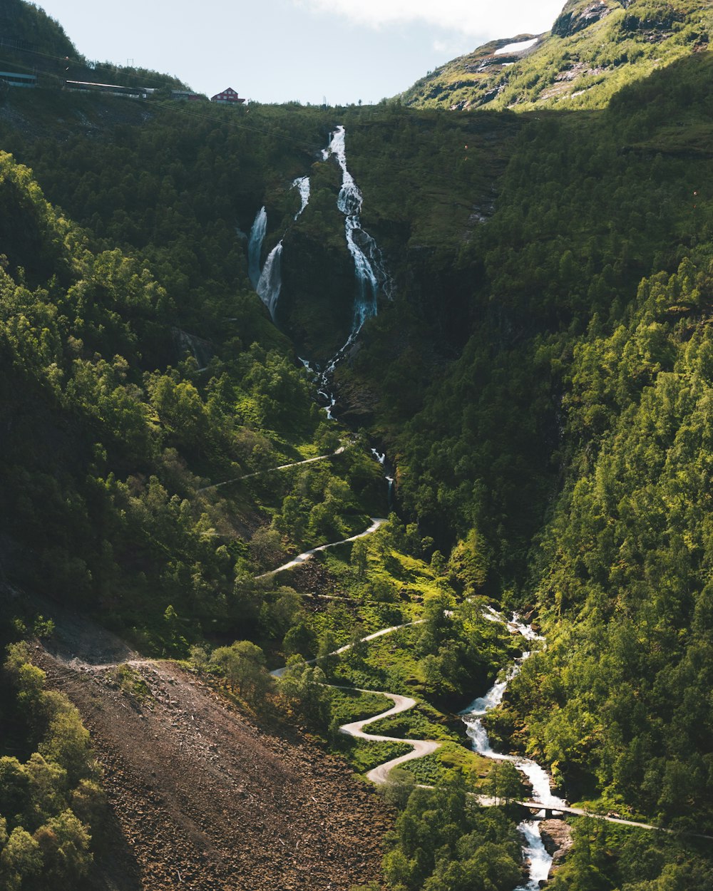 river in between trees