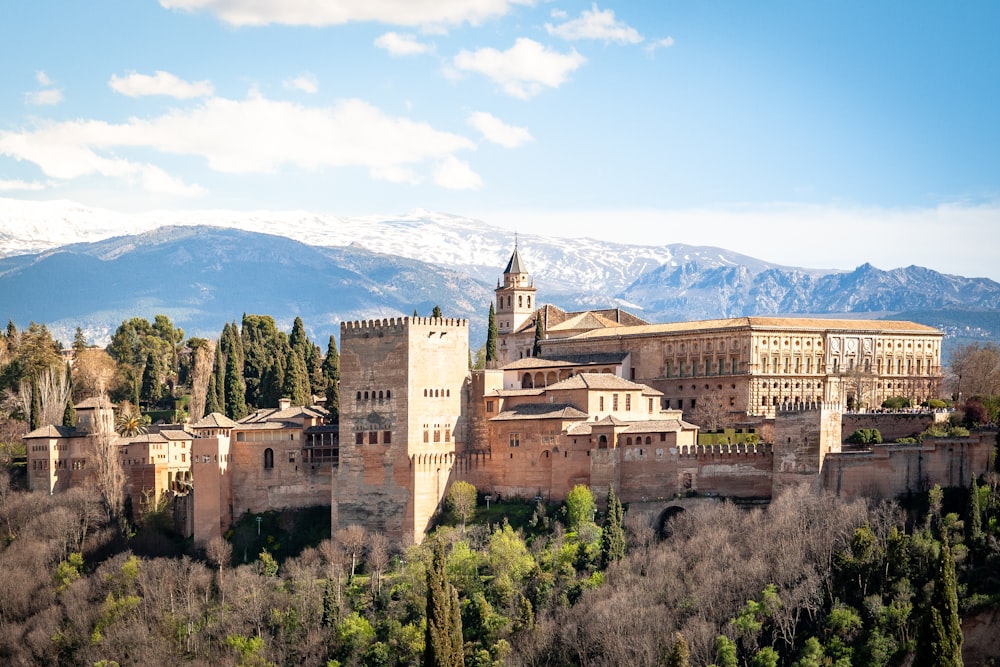 Fotografia aerea del castello marrone