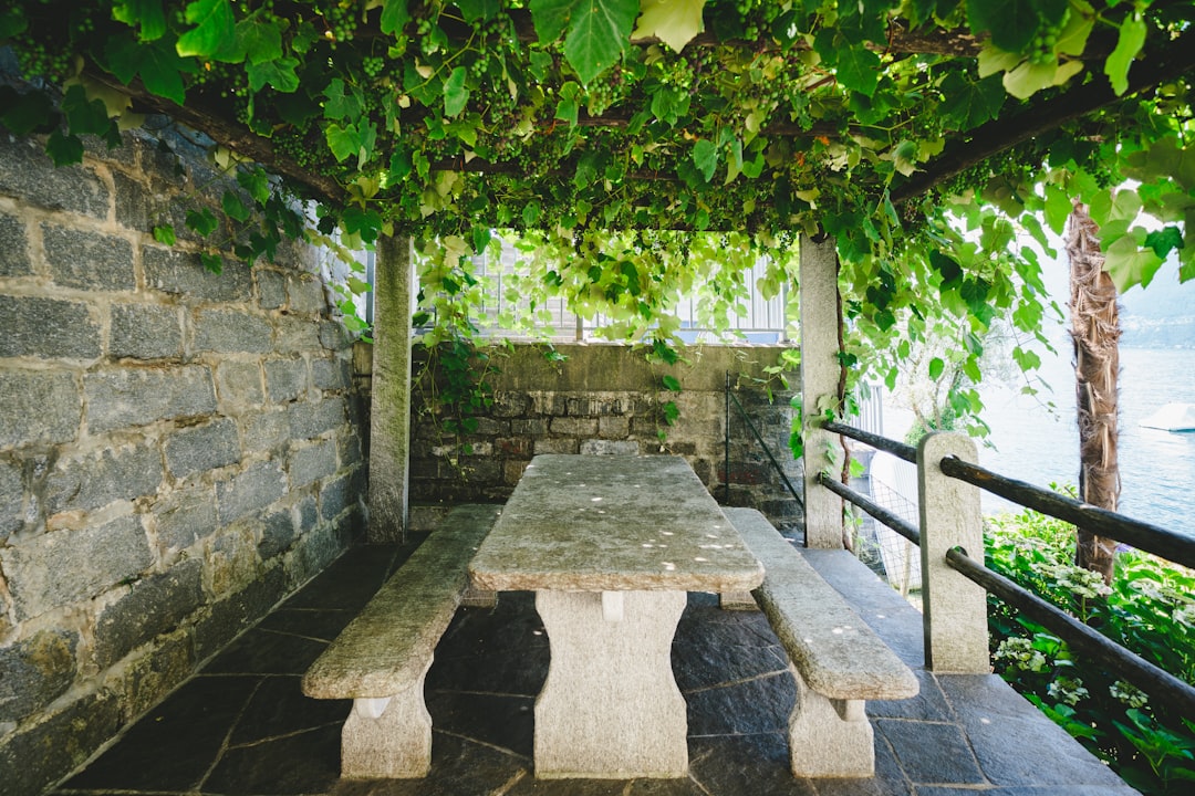 green-leafed plants above picnic table