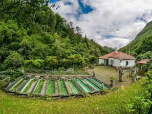 A quaint white house with a red-tiled roof is surrounded by lush greenery and hills. In front of the house, several rectangular fish ponds with clear water are lined up, and a small paved courtyard adds to the serene setting. Tall trees and ferns provide a natural enclosure, and the sky above is partly cloudy.