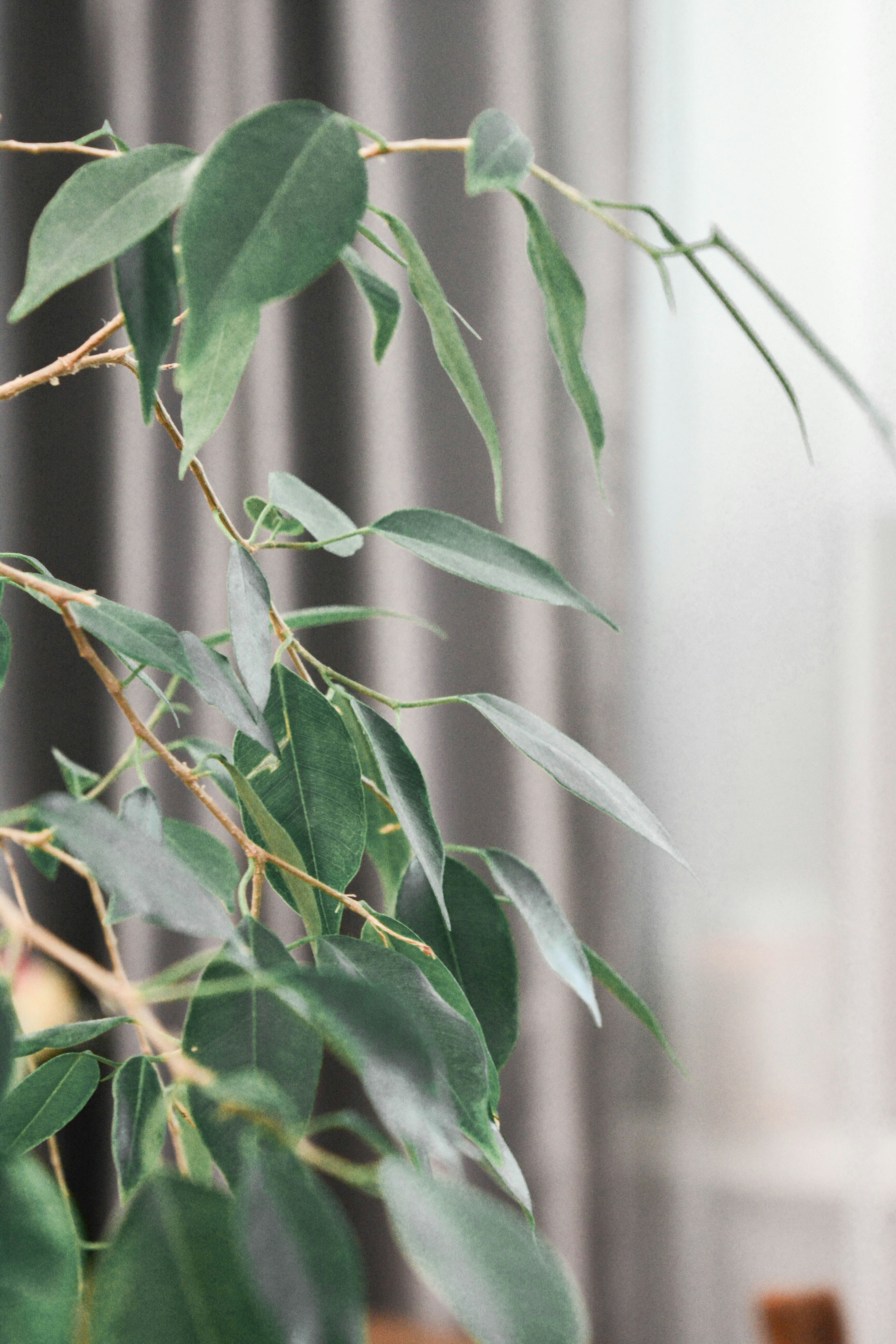 Photo by natalia_gor