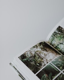 A book is open to a page displaying photographs of lush green foliage and plant life, suggesting a theme of nature or botany.