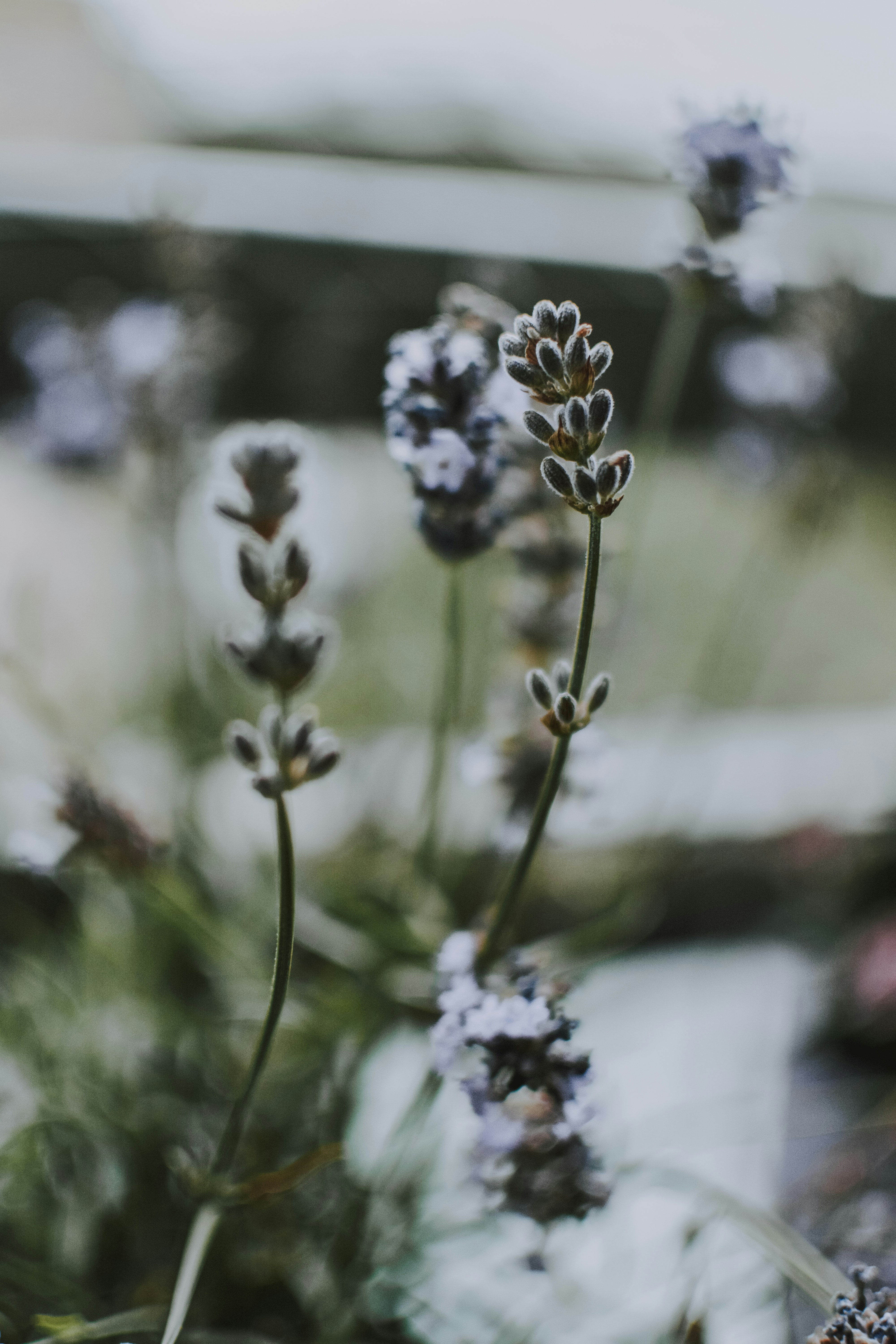 Photo by lilartsy