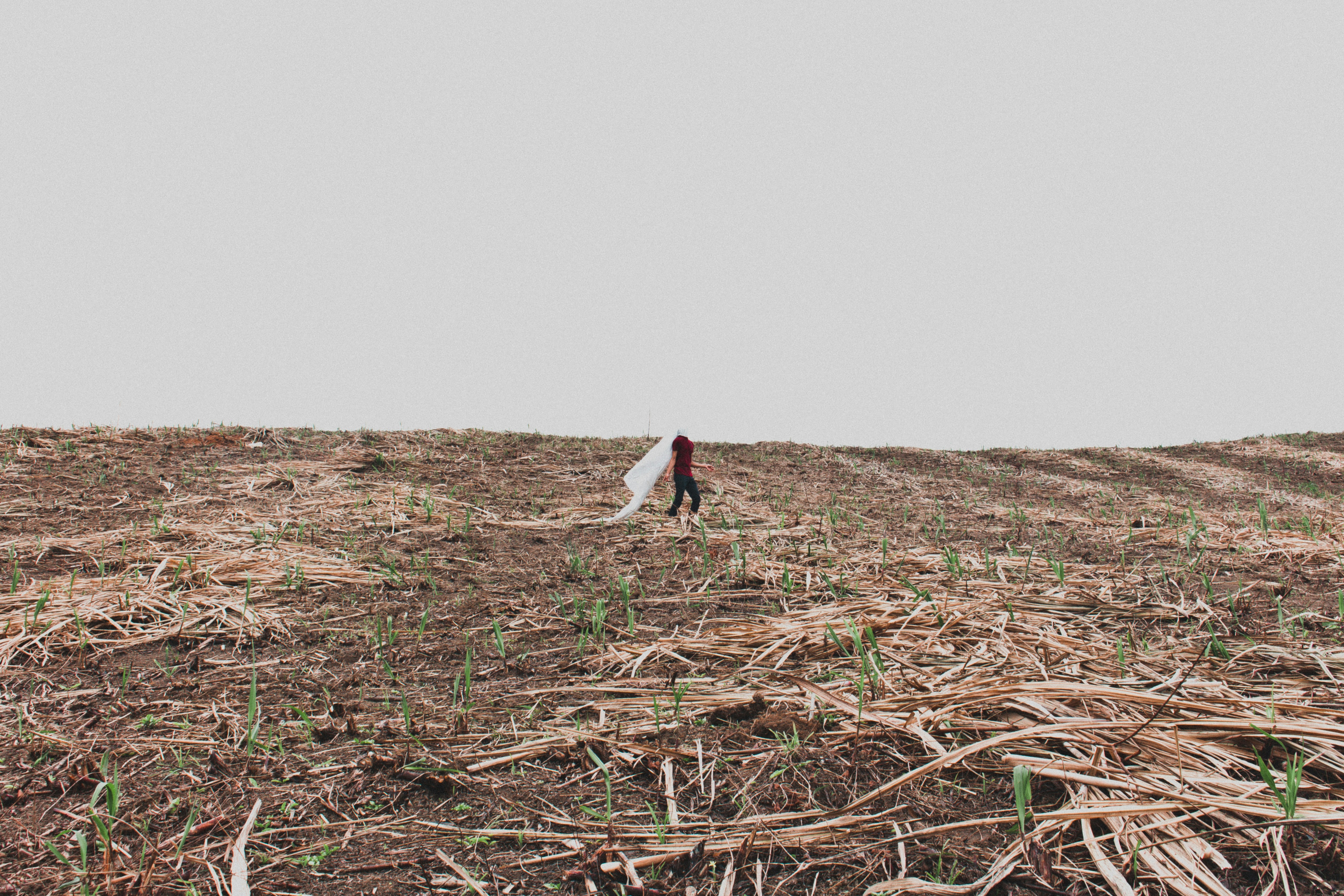 a person standing in a field with a surfboard