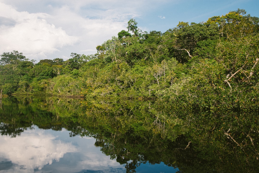 Experience the Amazon from Above: Finding Business Class Flights fr… — Experience the Amazon from Above