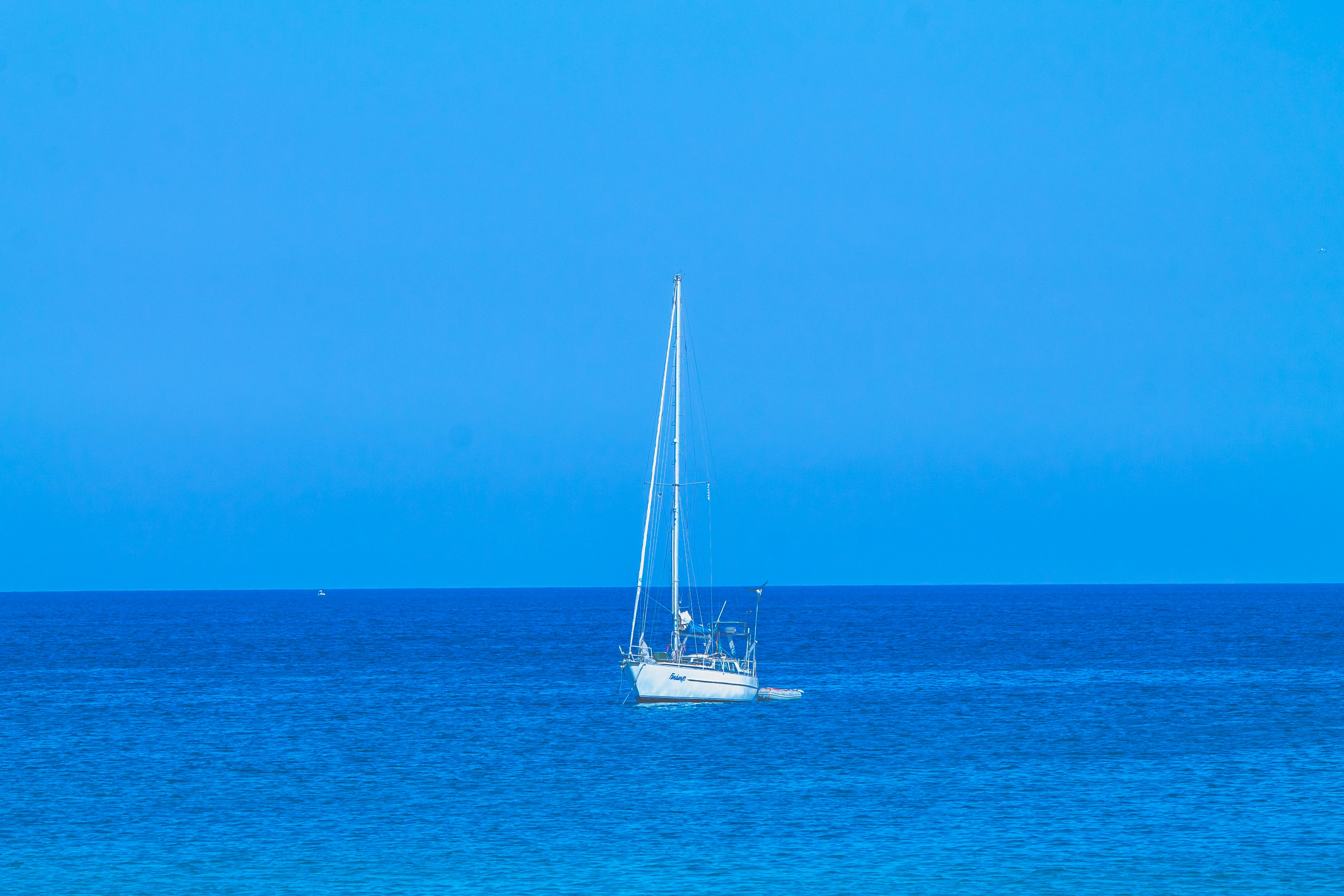 Photo by lsdforsociety