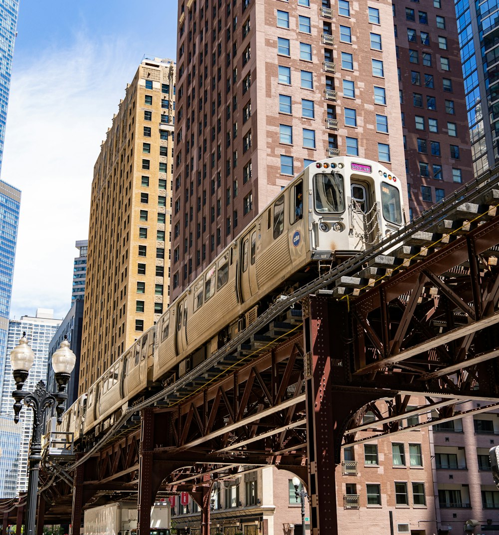 white and gray train