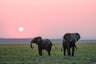 Maasai village cultural experience Tanzania luxury