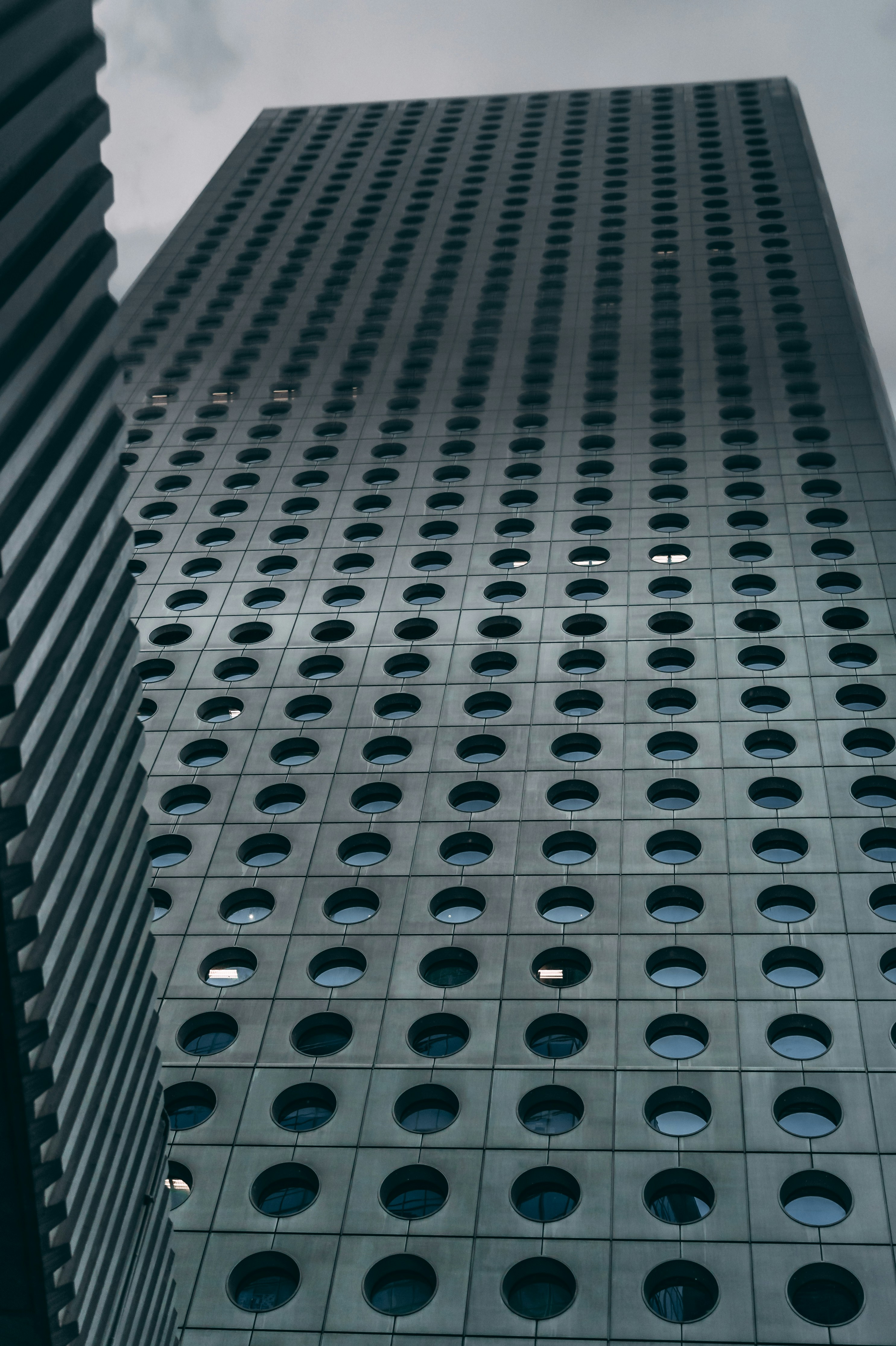 Photo by carmelcheeseproductions