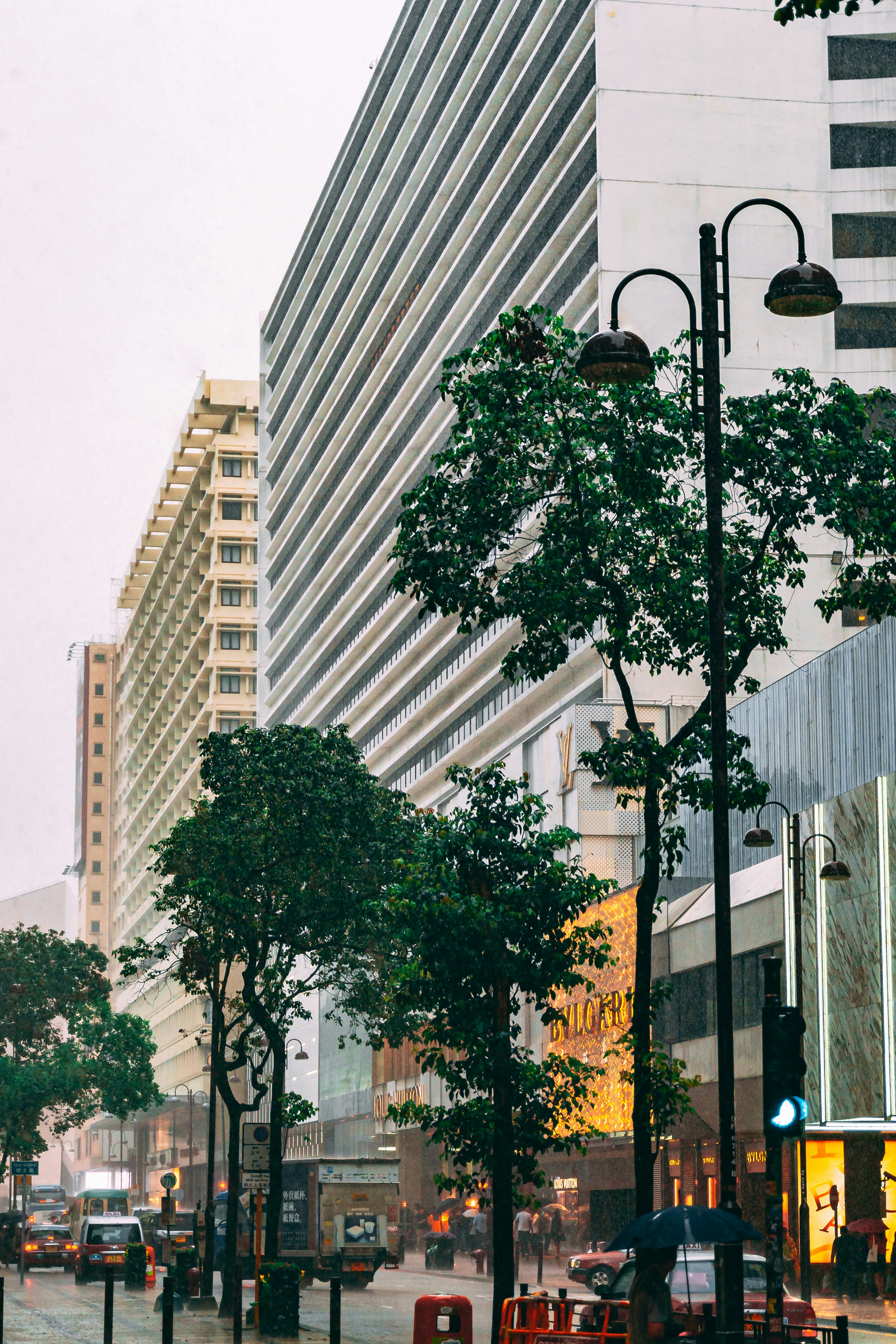 Photo by carmelcheeseproductions